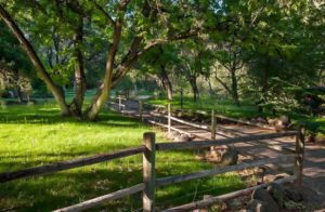 Grounds-