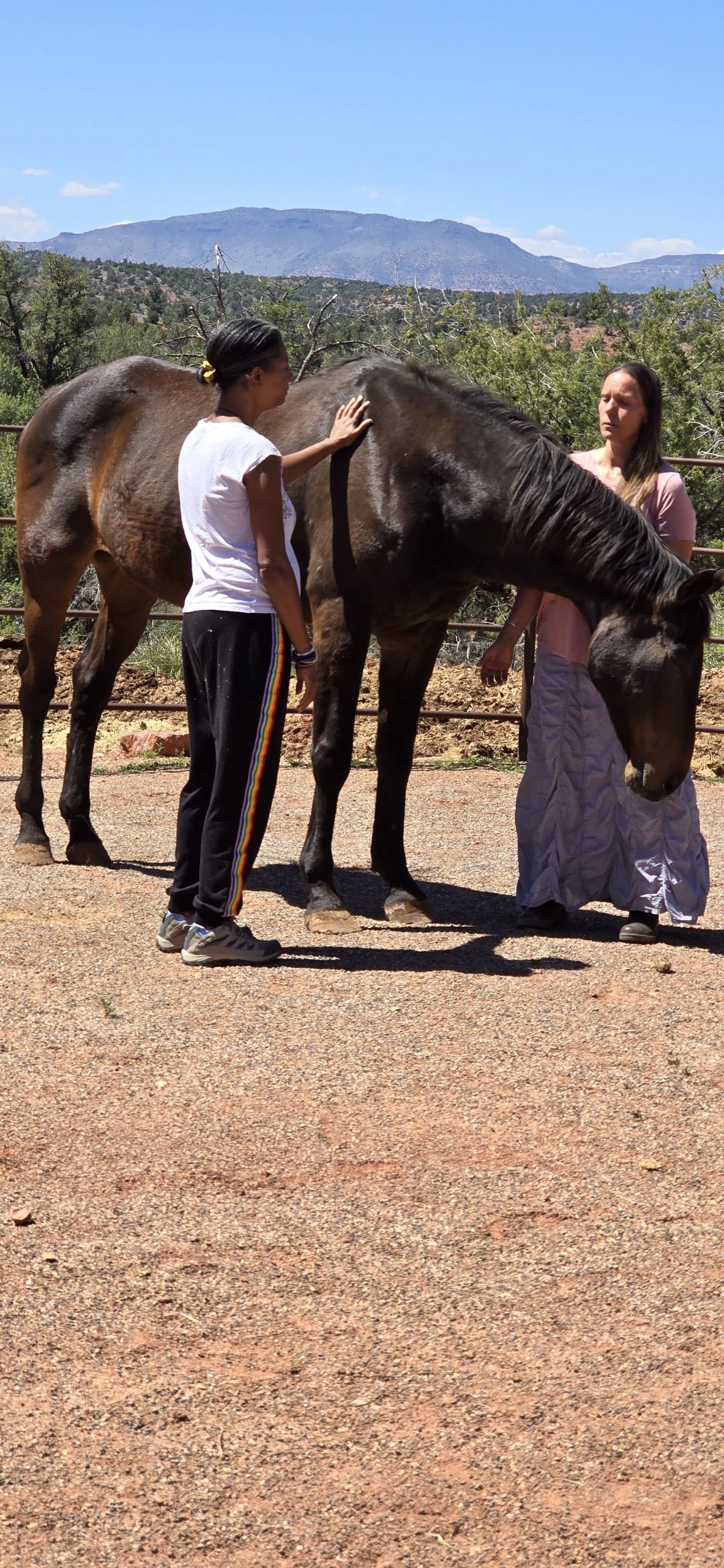 Family Lineage Healing Retreat Sedona - Image 4