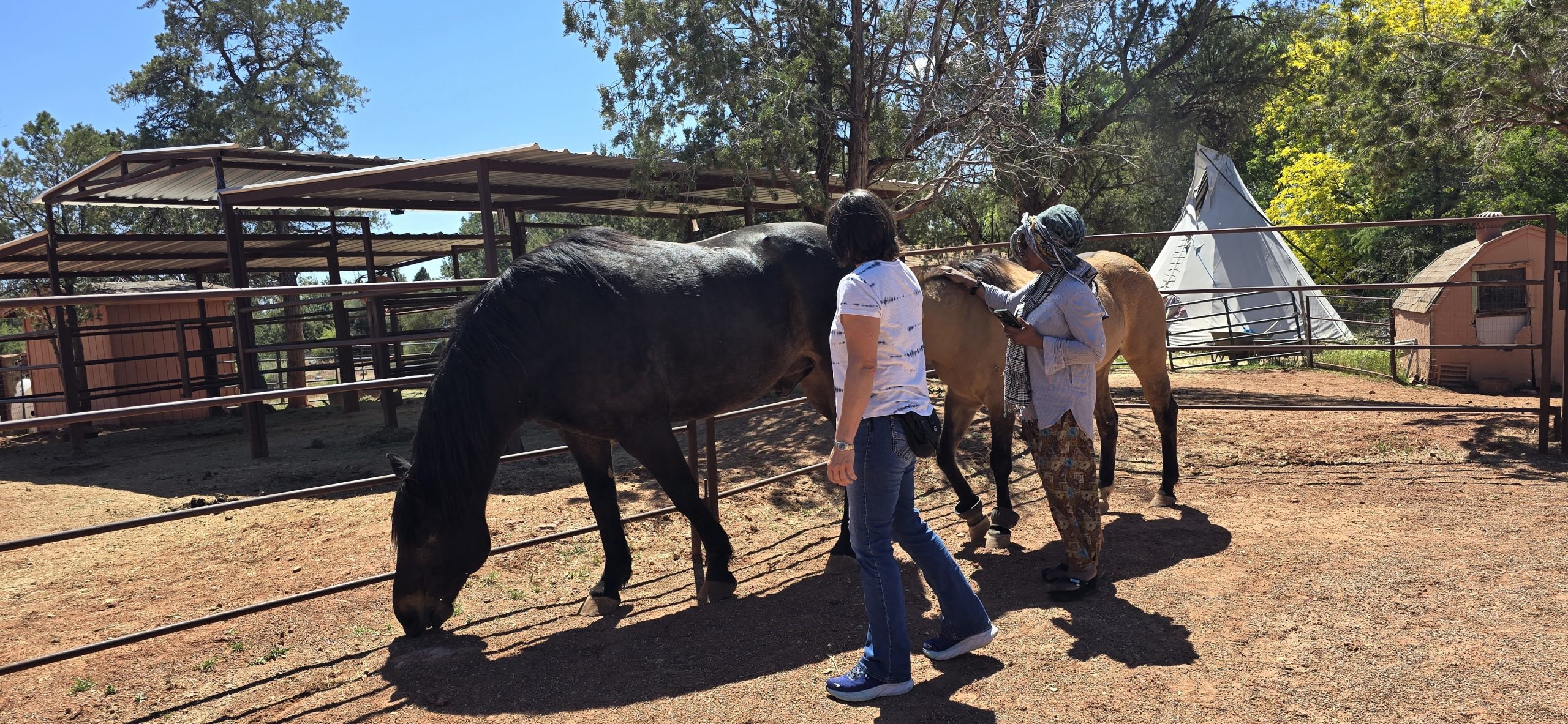 Family Lineage Healing Retreat Sedona - Image 5