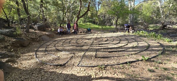 Family Lineage Healing Retreat Sedona - Image 14