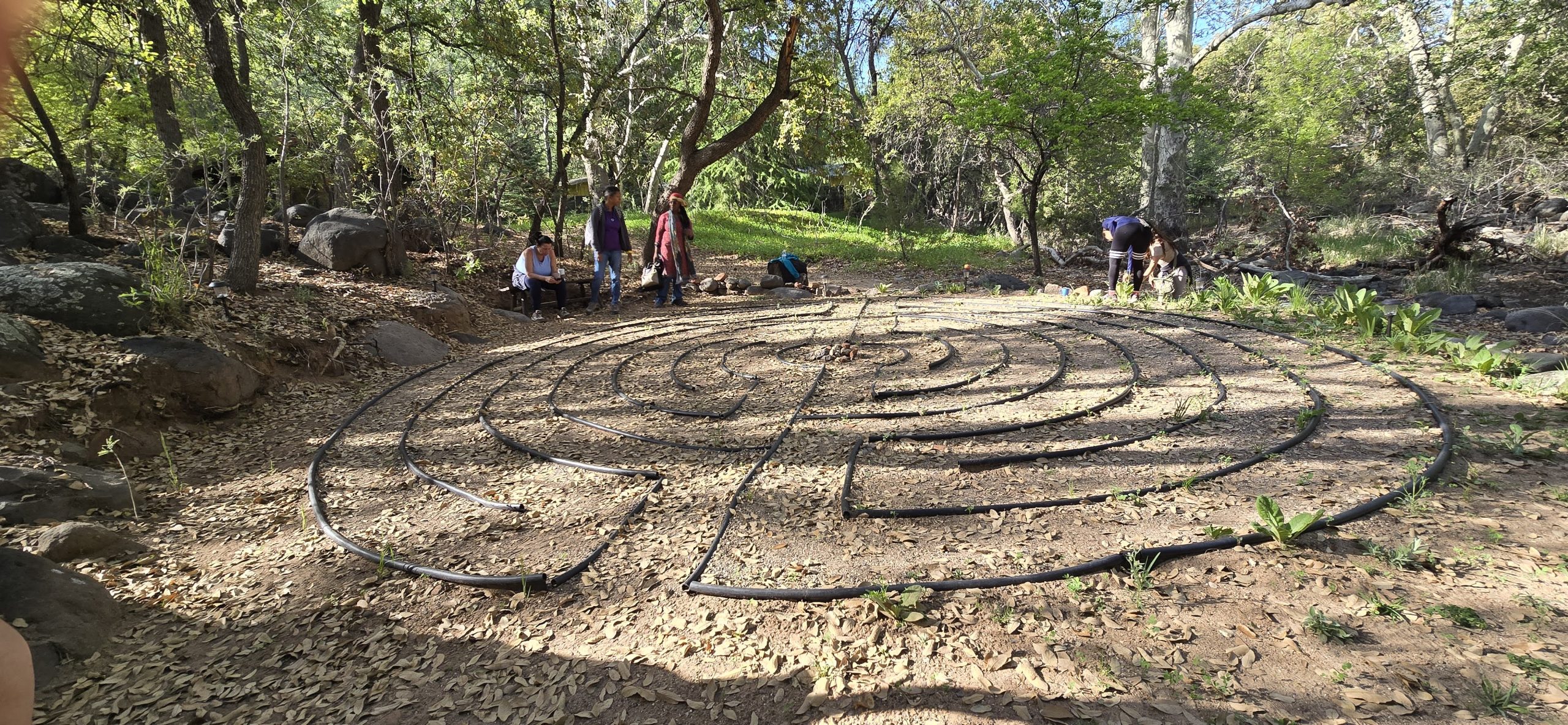 Family Lineage Healing Retreat Sedona - Image 14