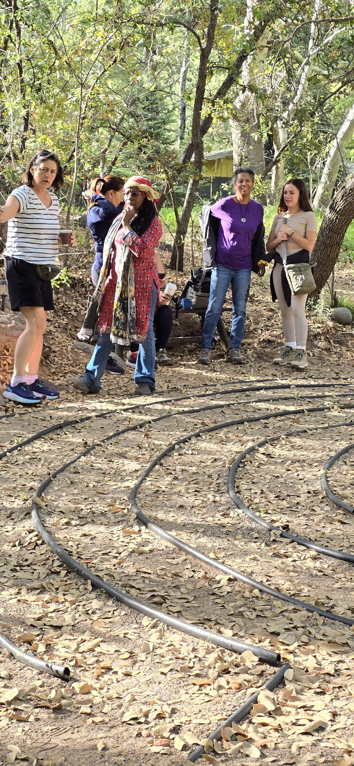 Family Lineage Healing Retreat Sedona - Image 15