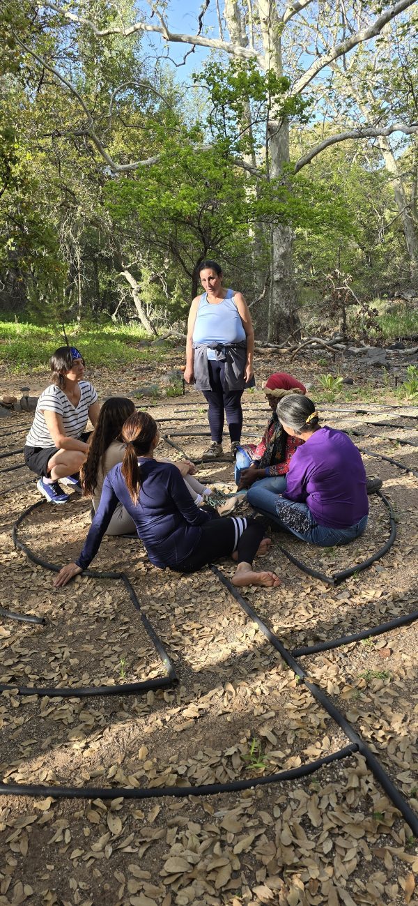 Family Lineage Healing Retreat Sedona - Image 16