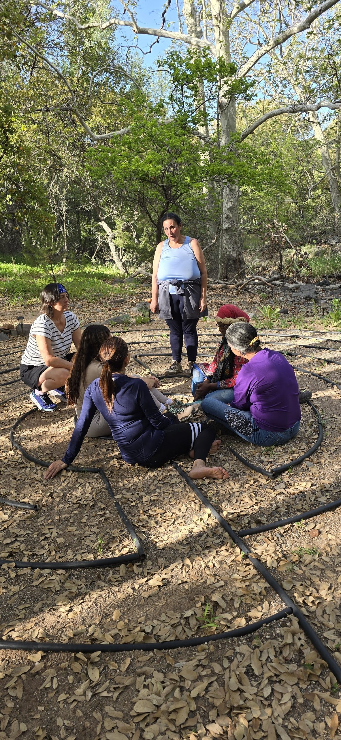 Family Lineage Healing Retreat Sedona - Image 16